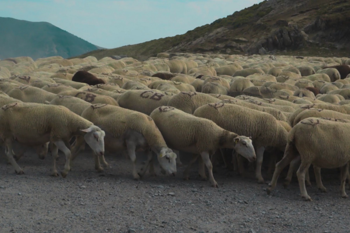 Les Tireux d’Roches – Il est grand temps